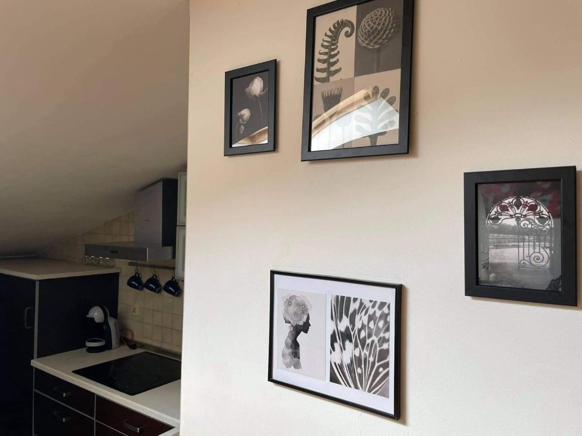 Apartament Studio Nałęczów エクステリア 写真